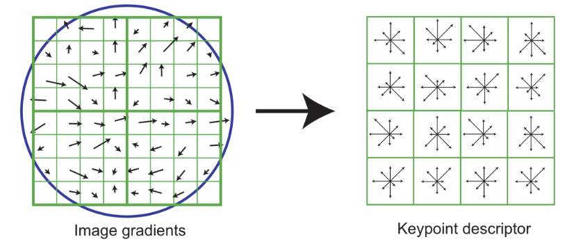 SIFT Descriptors